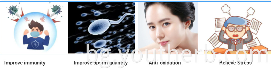 is ashwagandha root powder safe